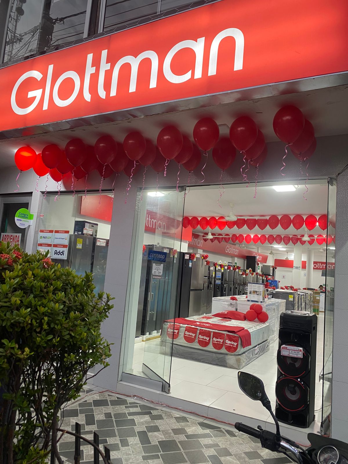 Imagen 1 Glottmann
